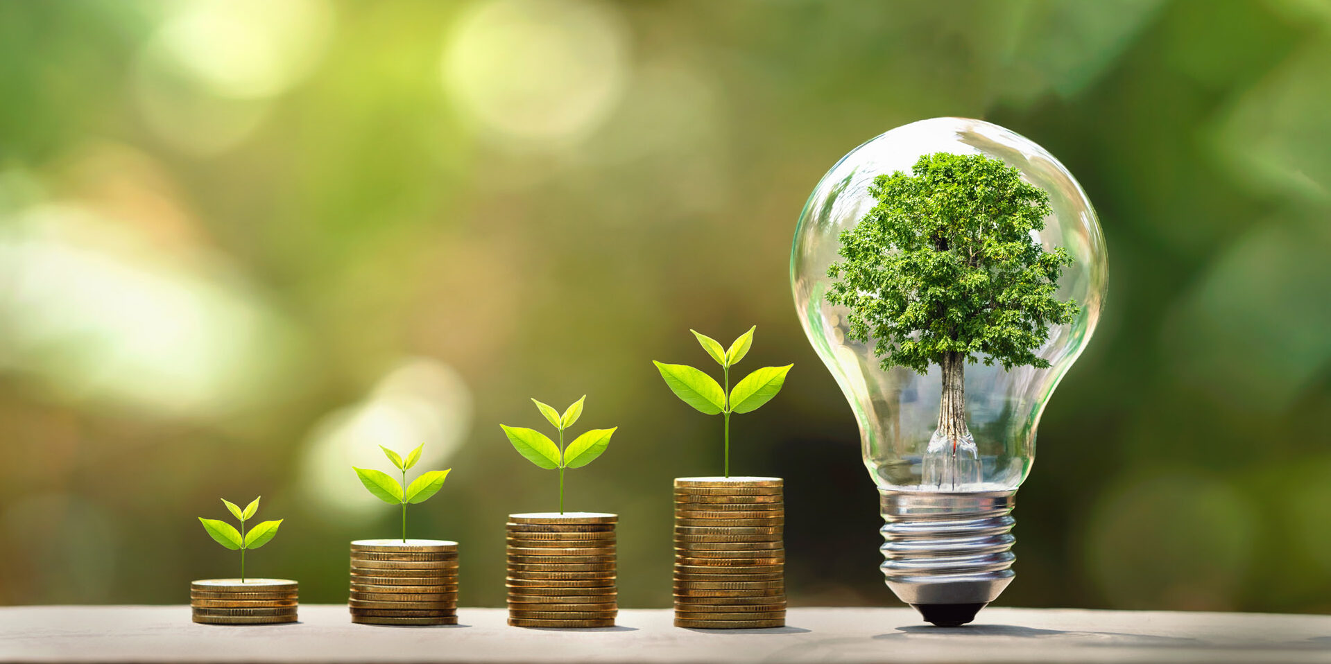 Energy Monitor Business
